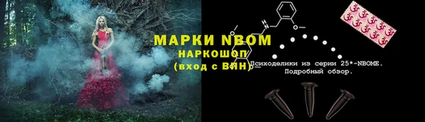 трава Аркадак