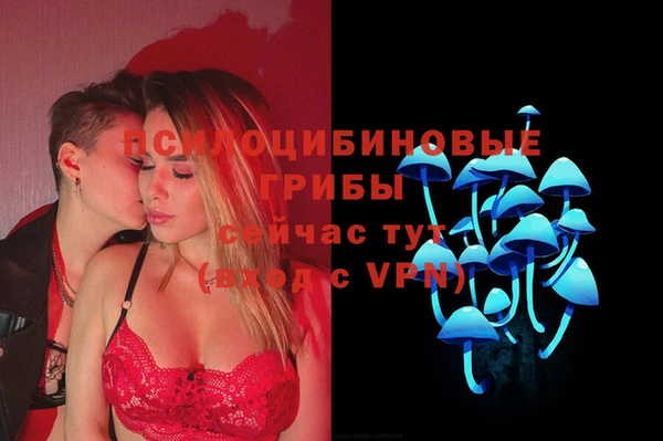 метадон Арсеньев
