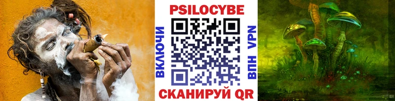 где купить   Белозерск  Псилоцибиновые грибы Psilocybe 